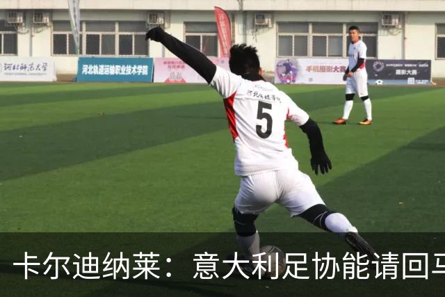 卡尔迪纳莱：意大利足协能请回马尔蒂尼，说明他们开始醒悟了