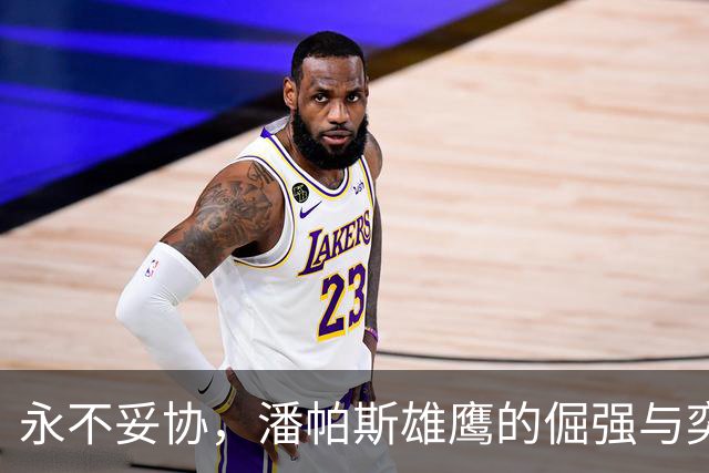 永不妥协，潘帕斯雄鹰的倔强与奕境的长期主义